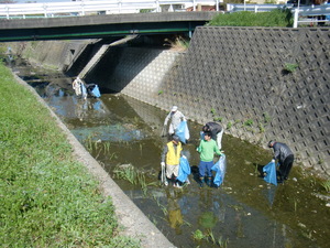 2011年4月17日河川清掃の様子